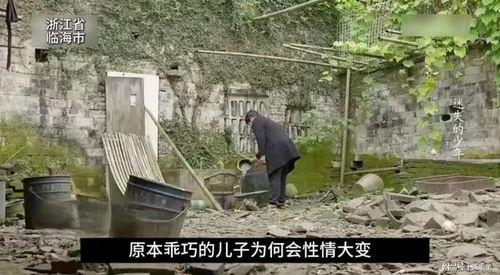 台州临海市爆料案件最新,案情揭秘，警方全力侦破