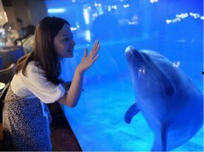 小晨海洋最新爆料,娱乐圈最新爆料大起底