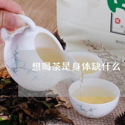 喝茶爆料最新,喝茶爆料背后的惊人真相